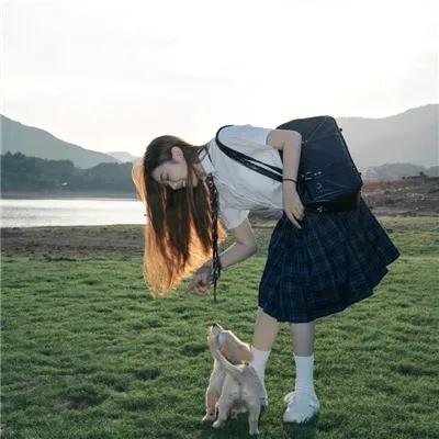 秋日节拍
